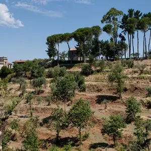 Agriturismo La Molara, foto 26