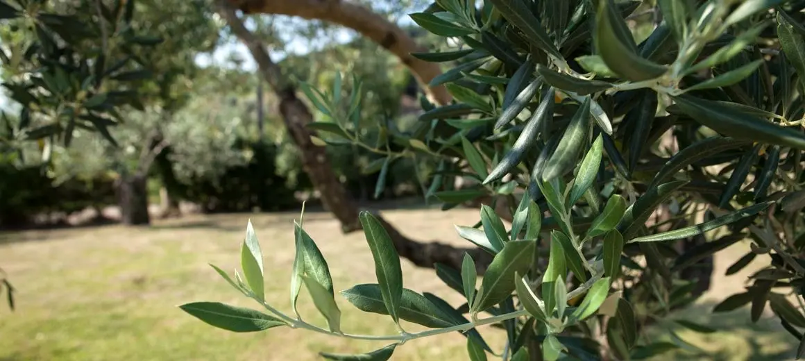 Il parco dell'agriturismo