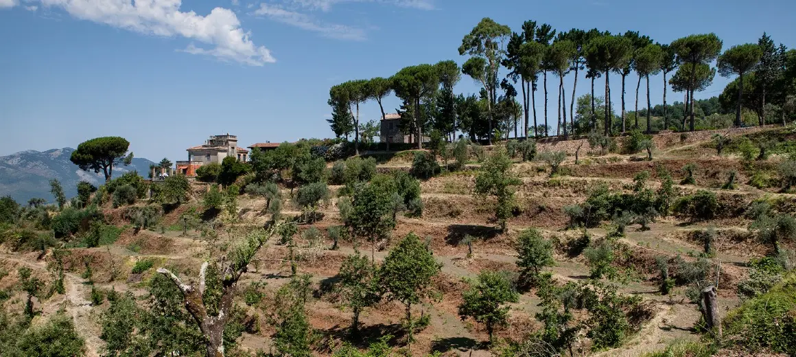 L'agriturismo La Molara